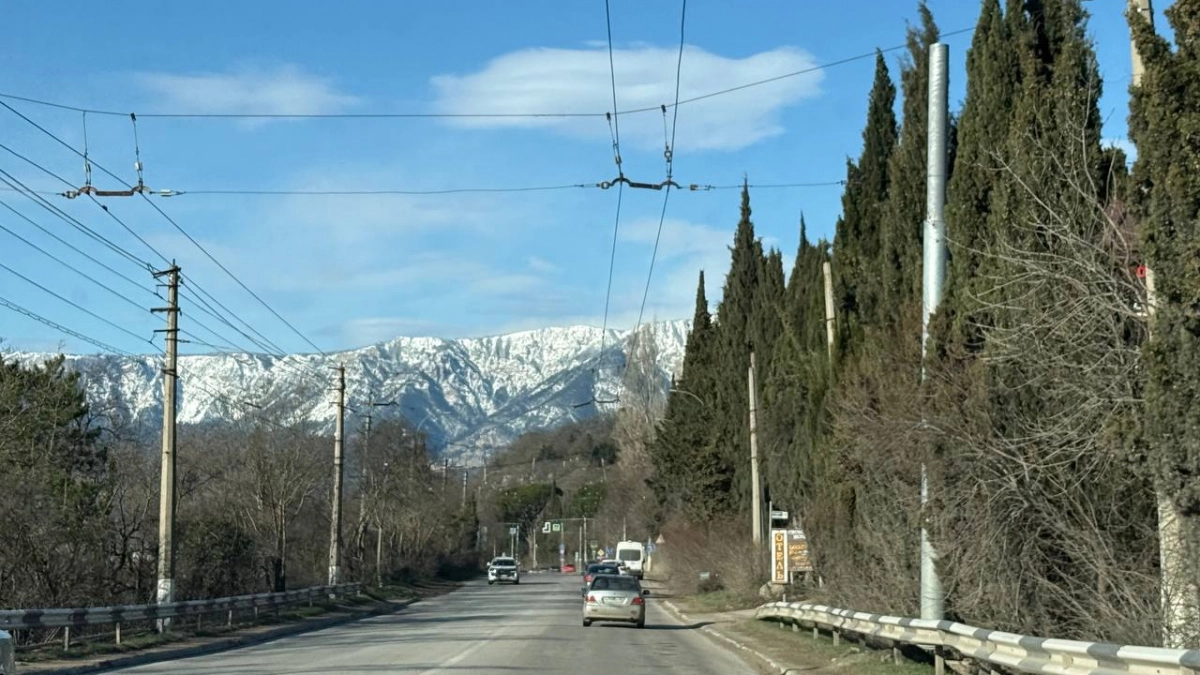 Новая "Волга" против Chery: Минтранс расширил список разрешенных авто для такси