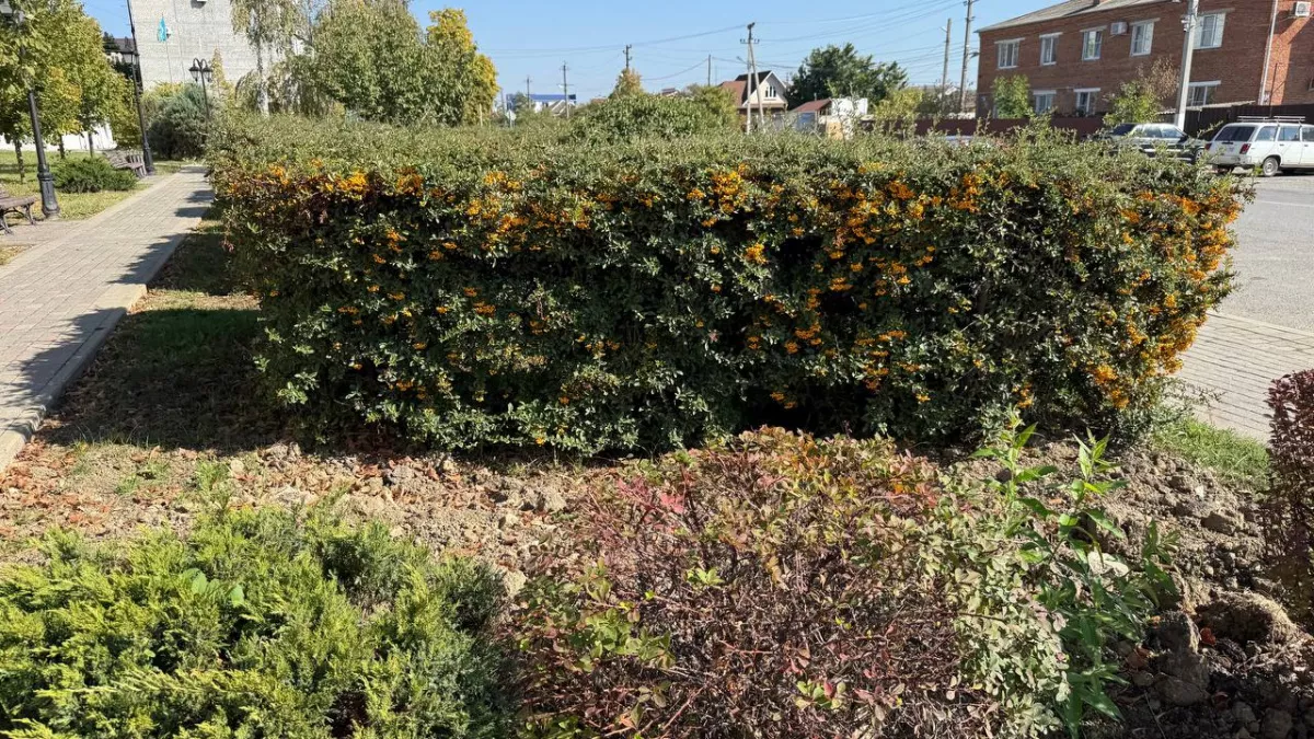 Весна сошла с ума: синоптики предупредили о погодных качелях в апреле и мае