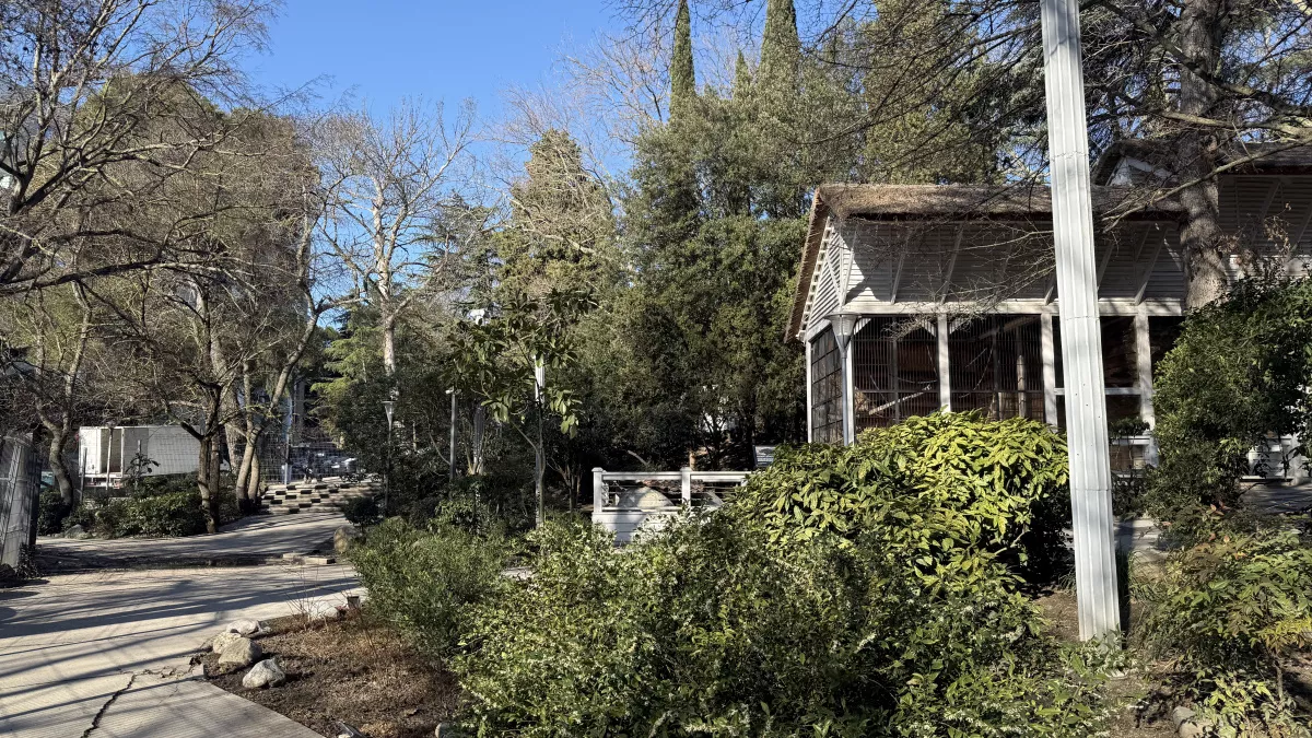 На Кубани ожидаются температурные качели: от ночных морозов до весеннего плюса 9 и 10 марта