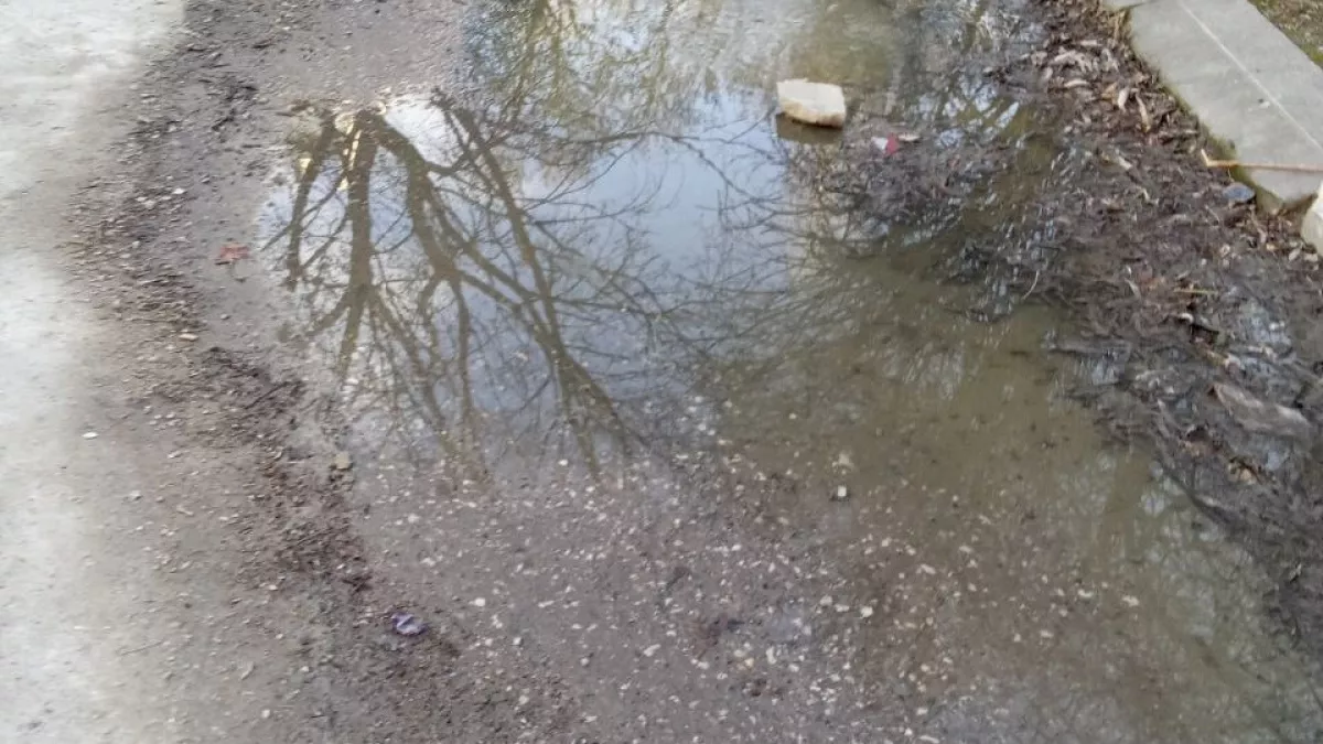 «Вонь на всю округу!»: в центре Новороссийска уже месяц течет канализация