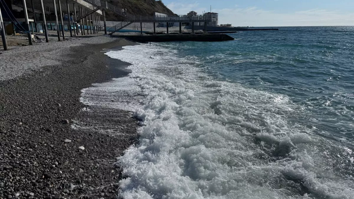 «Злые люди, змеи, грязь и ужасно невкусная еда»: туристы делятся своим искренними впечатлением от отдыха в Абхазии – честный отзыв