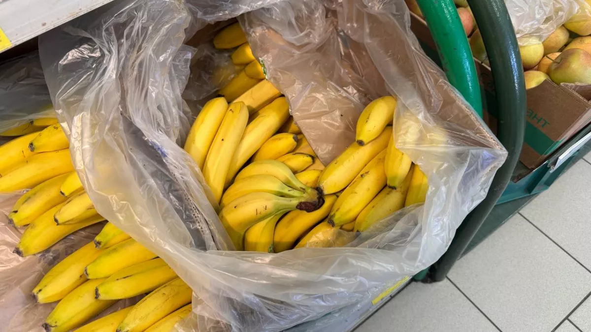 Банановую кожуру посыпаю солью —всю зиму не нарадуюсь своей находке: суперский лайфхак для ленивых