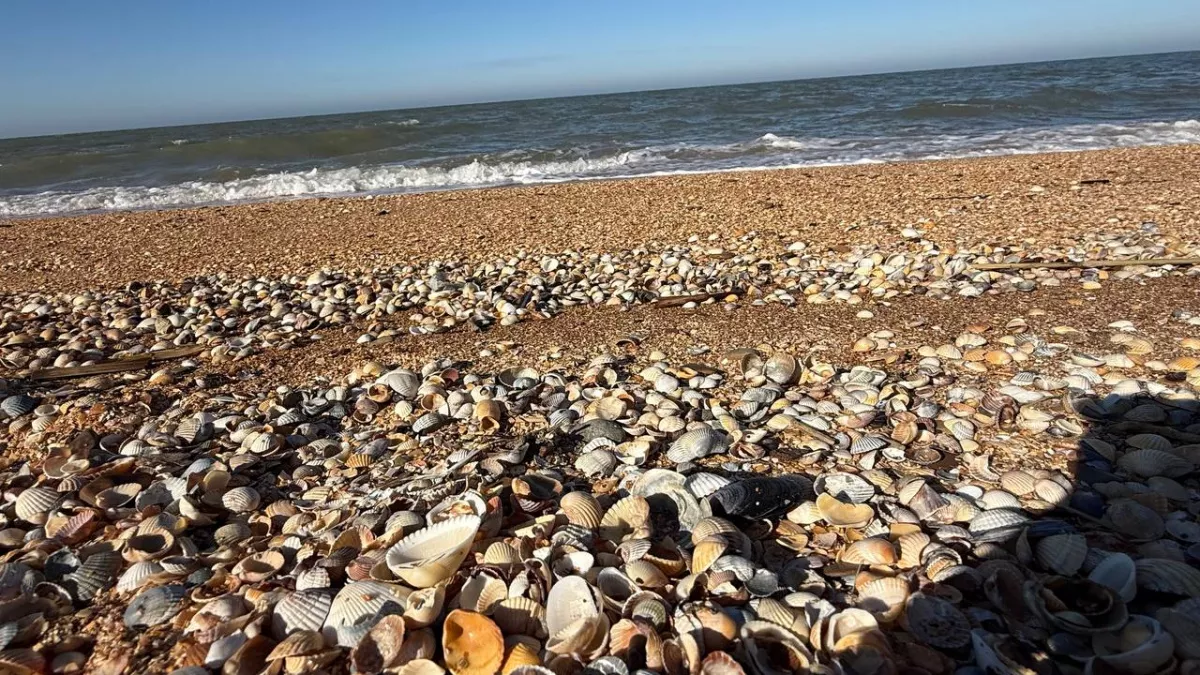 Забудьте навсегда про Пхукет: в марте едем на остров, где дешево, красиво и нет толп народа