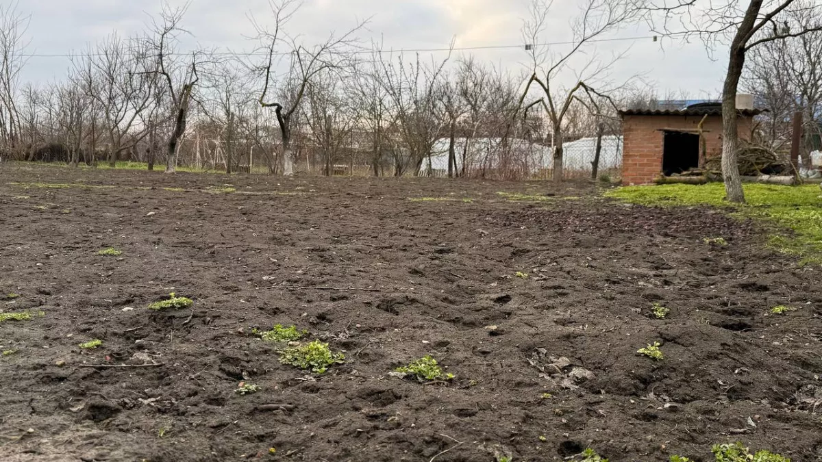 20 минут в марте — и слизни обходят ваш огород за версту: работают скорлупа и нашатырь