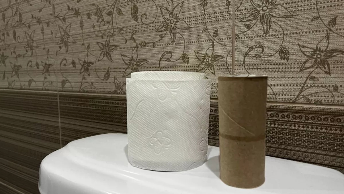 Не спешите выбрасывать втулки от туалетной бумаги: 5 дачных лайфхаков, которые сэкономят кучу денег