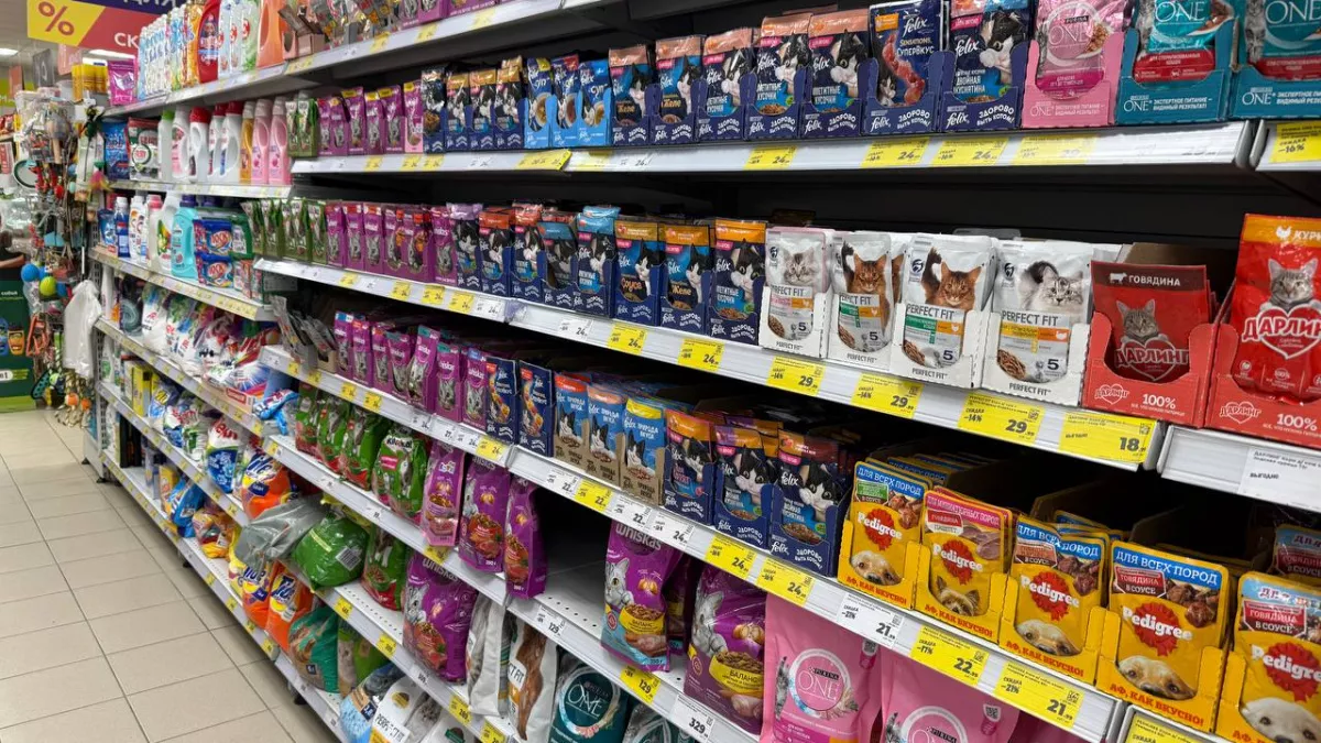 Можно брать хоть по 10 пачек: эксперты Роскачества выявили лучшие влажные корма для кошек 