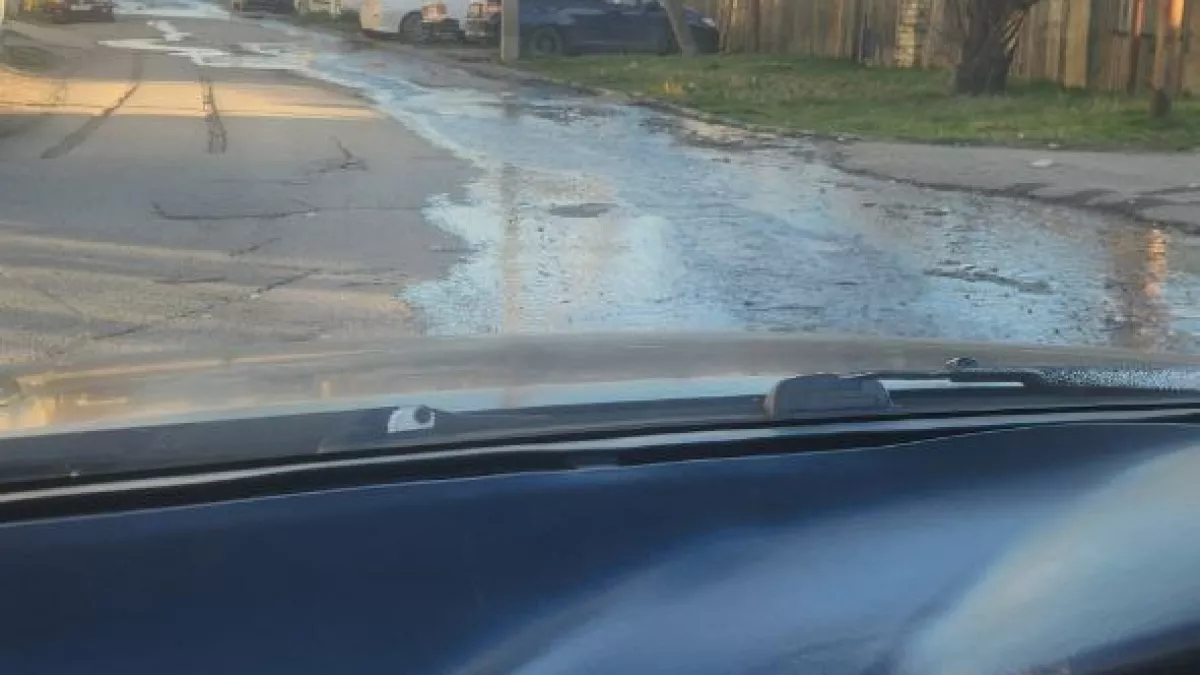 «Драгоценная вода льется на землю!»: жители Восточного района Новороссийска не могут добиться устранения утечки 