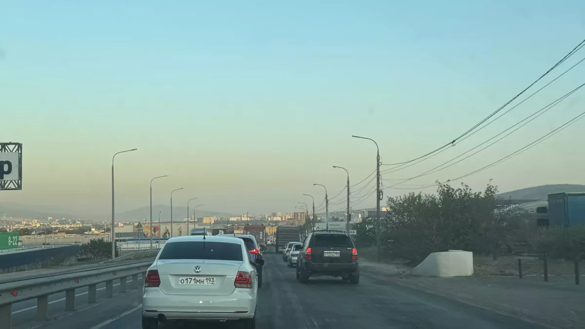 Эти 3 документа ДПС не имеет права требовать у водителей: как законно отказать инспектору - рассказал юрист