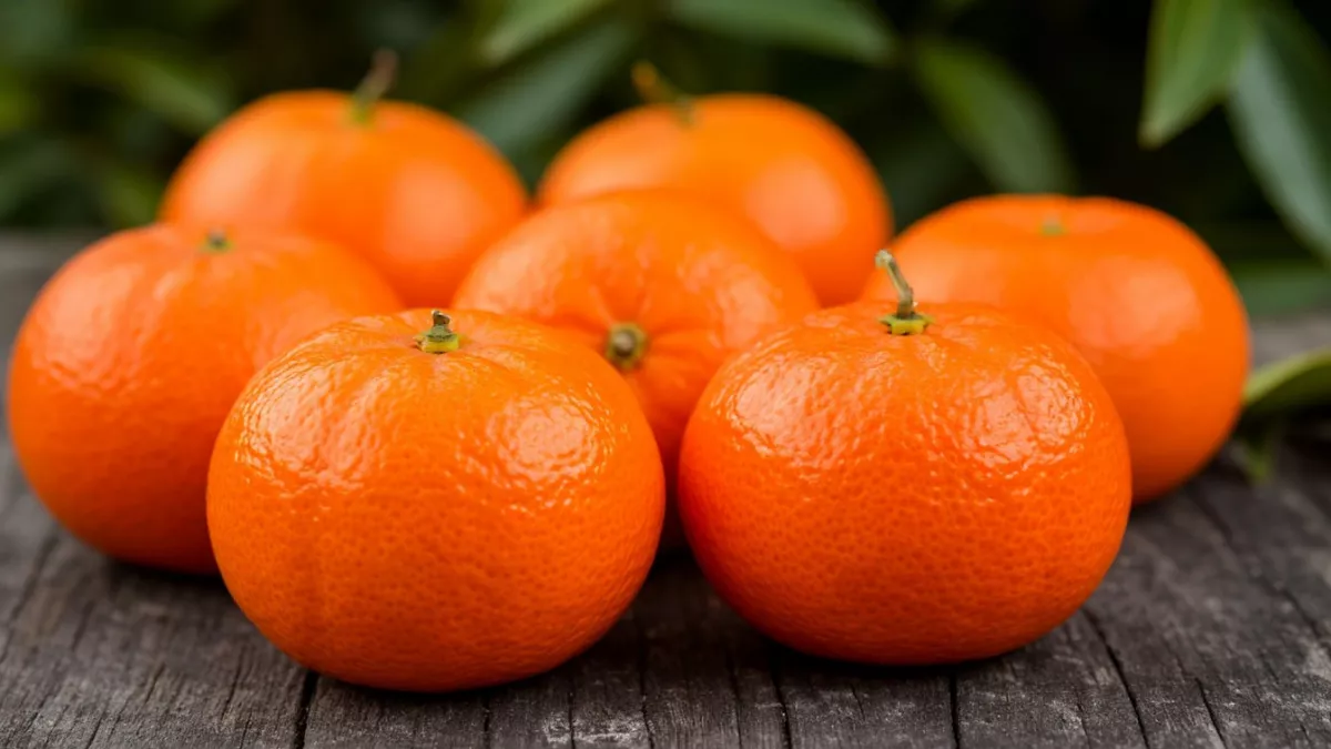 Кожуру от мандаринов больше не выкидываю: заливаю уксусом - и всю весну не нарадуюсь своей находчивости