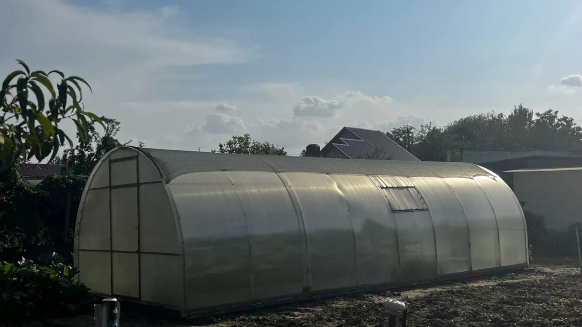 Соседи обзавидуются, а вы будете раздавать кабачки мешками: что сыплю в землю в марте, пока другие выбрасывают это в мусорку