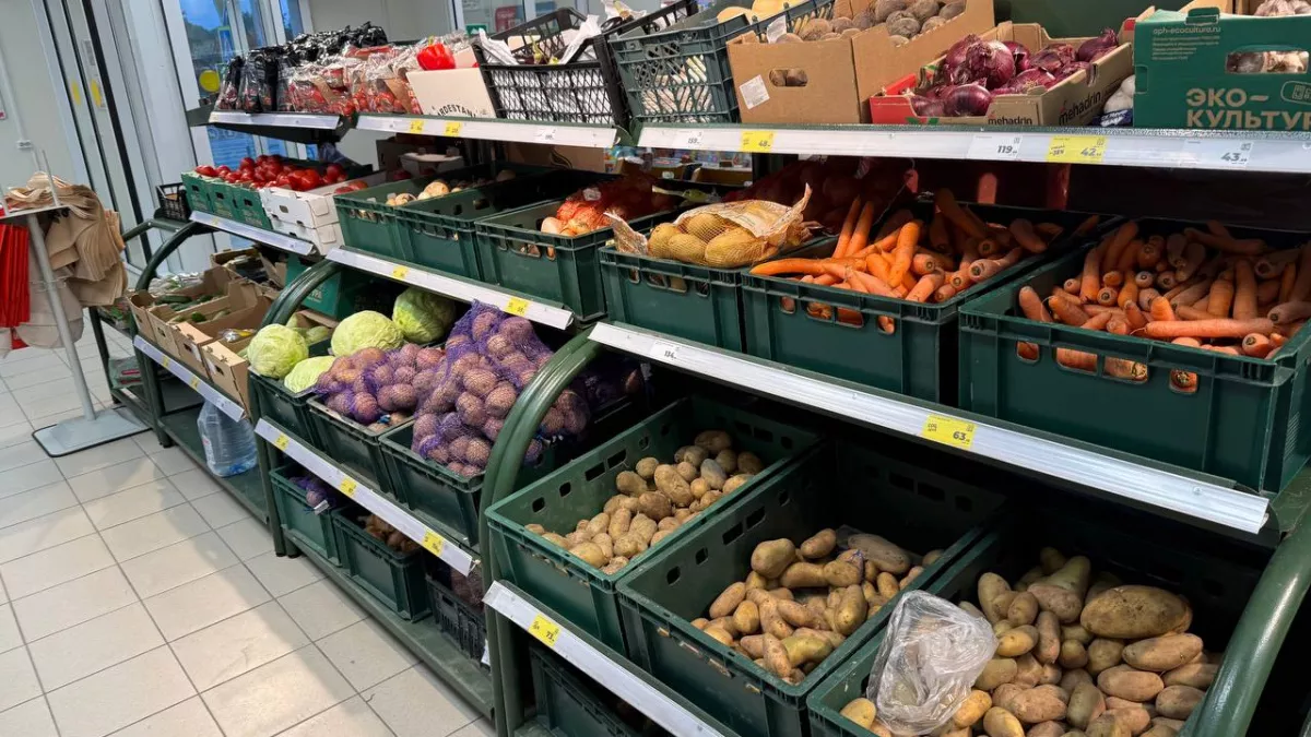 Выбрасываю этот овощ из холодильника: диетолог сказал, что он бесполезнее огурца