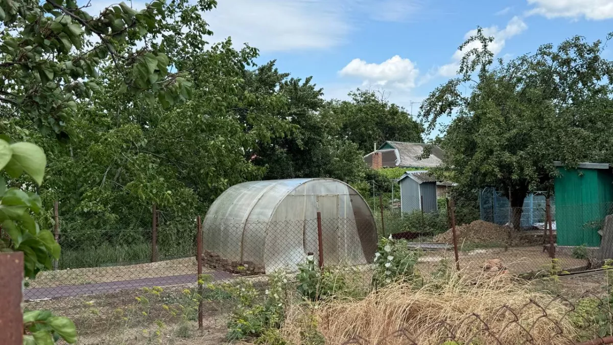 Поликарбонат теперь не в моде: нашла для теплицы материал лучше – без пыли и стоит копейки