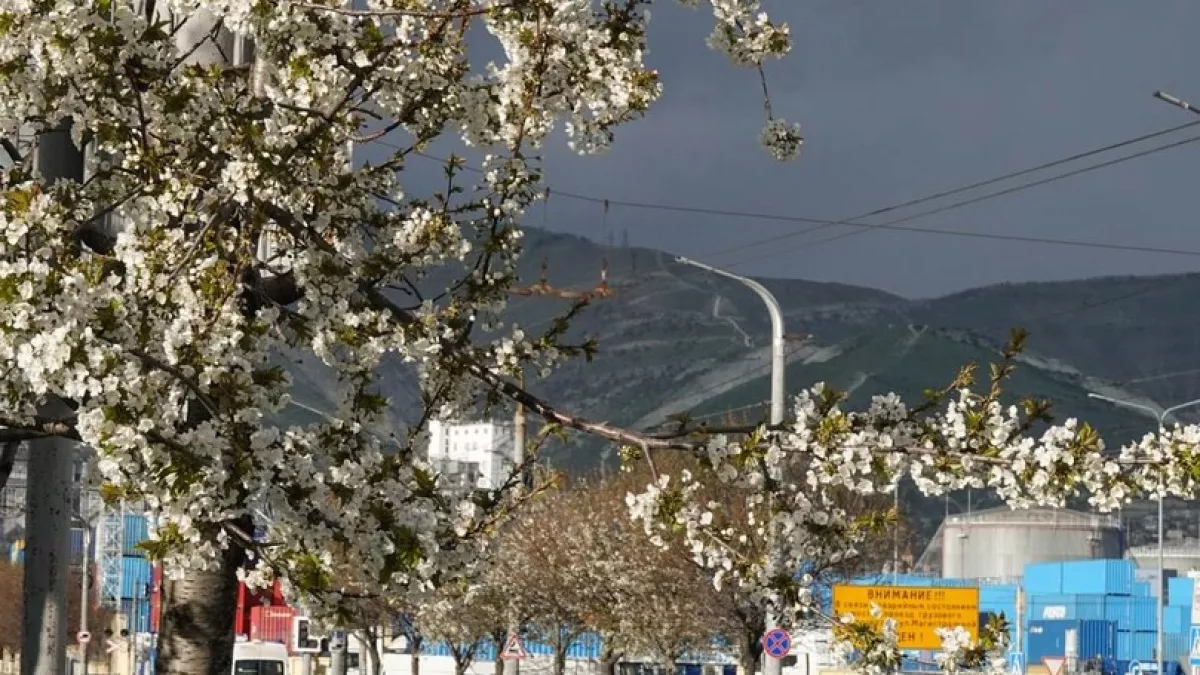 Синоптики обещают новороссийцам аномально теплый апрель: мультимодельный прогноз погоды 