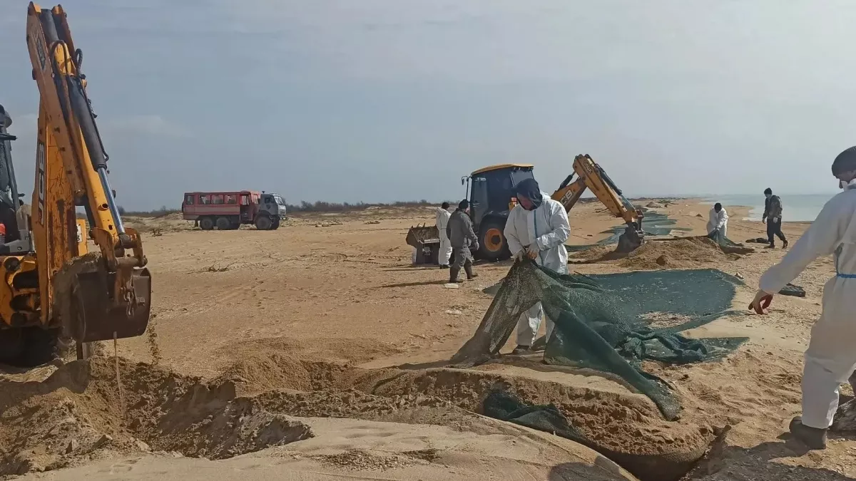 Анапа готовится к сезону? На пляжах курорта разбирают защитные валы и убирают сети 