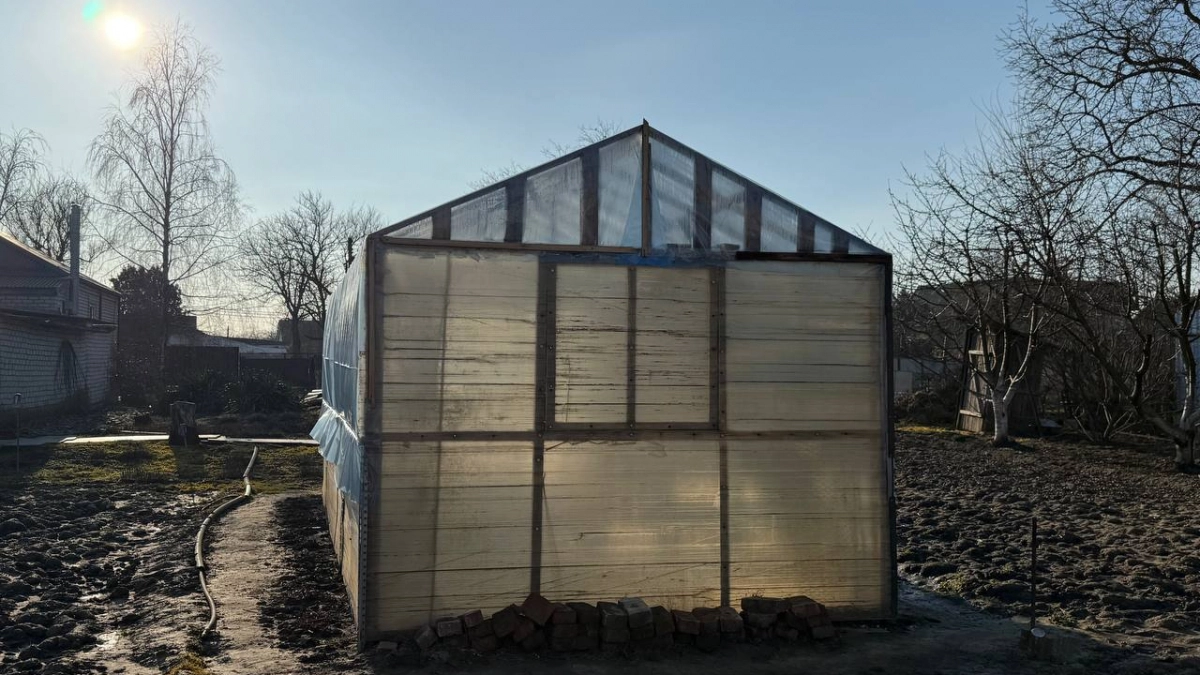 Поликарбонат теперь не в моде: нашла для теплицы материал лучше – без пыли и стоит сущие копейки