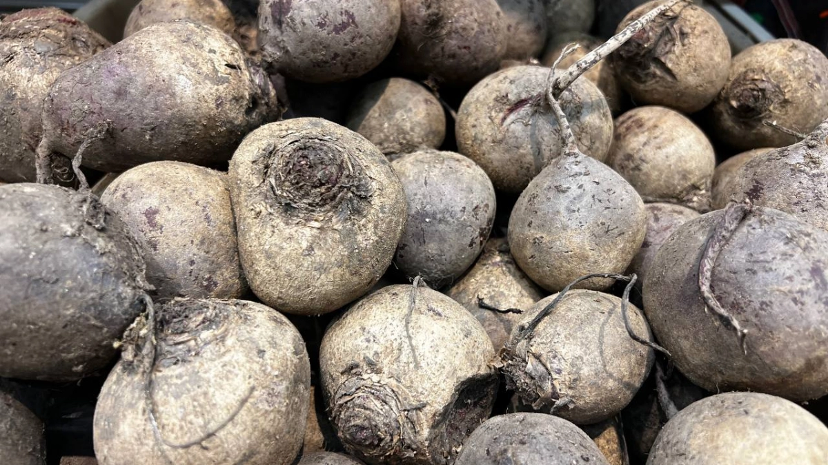 Варю свеклу и морковь за 8 минут — для салата самое то: в кастрюлю 1 ложку на 1 л воды — нереально вкусная, сладкая и не "водянистая"