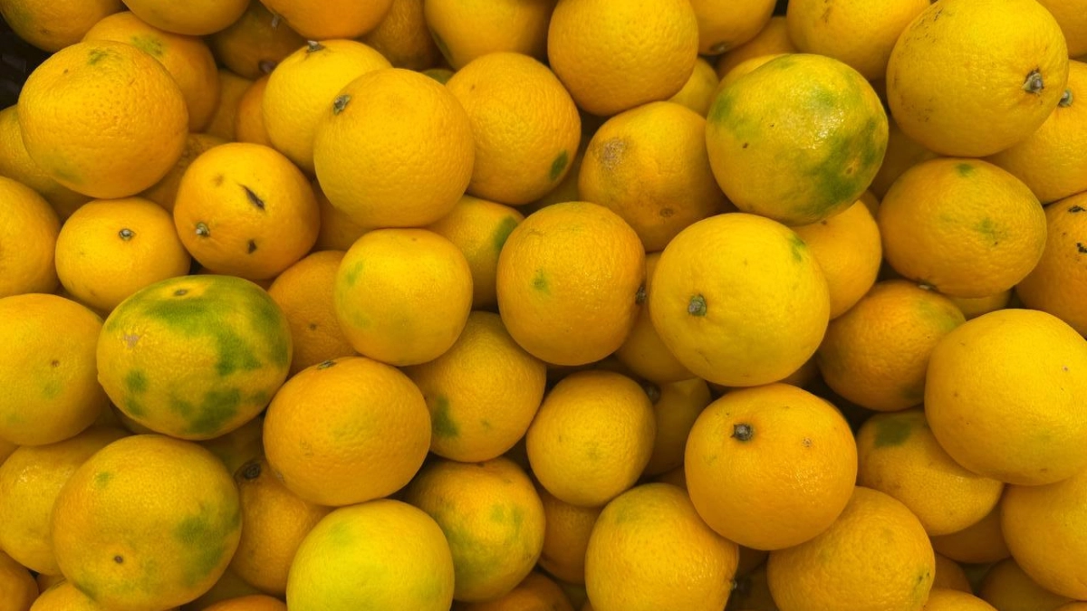 Кожуру от мандаринов больше никогда не выкидываю: заливаю уксусом - и всю весну не нарадуюсь своей находчивости