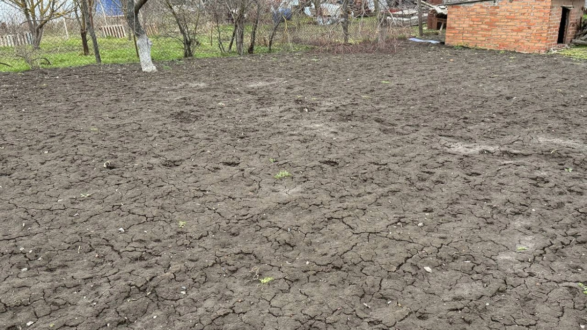 Мощнее помета, дрожжей и навоза: обрабатываем грядки уже в марте — тройная выгода уже в апреле  