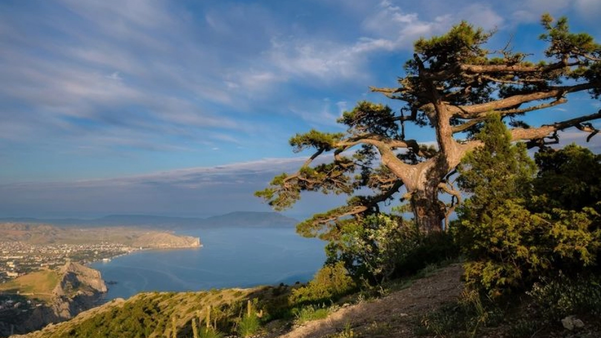 Крым наш! 12 лет назад полуостров присоединился к России – поздравления властей 