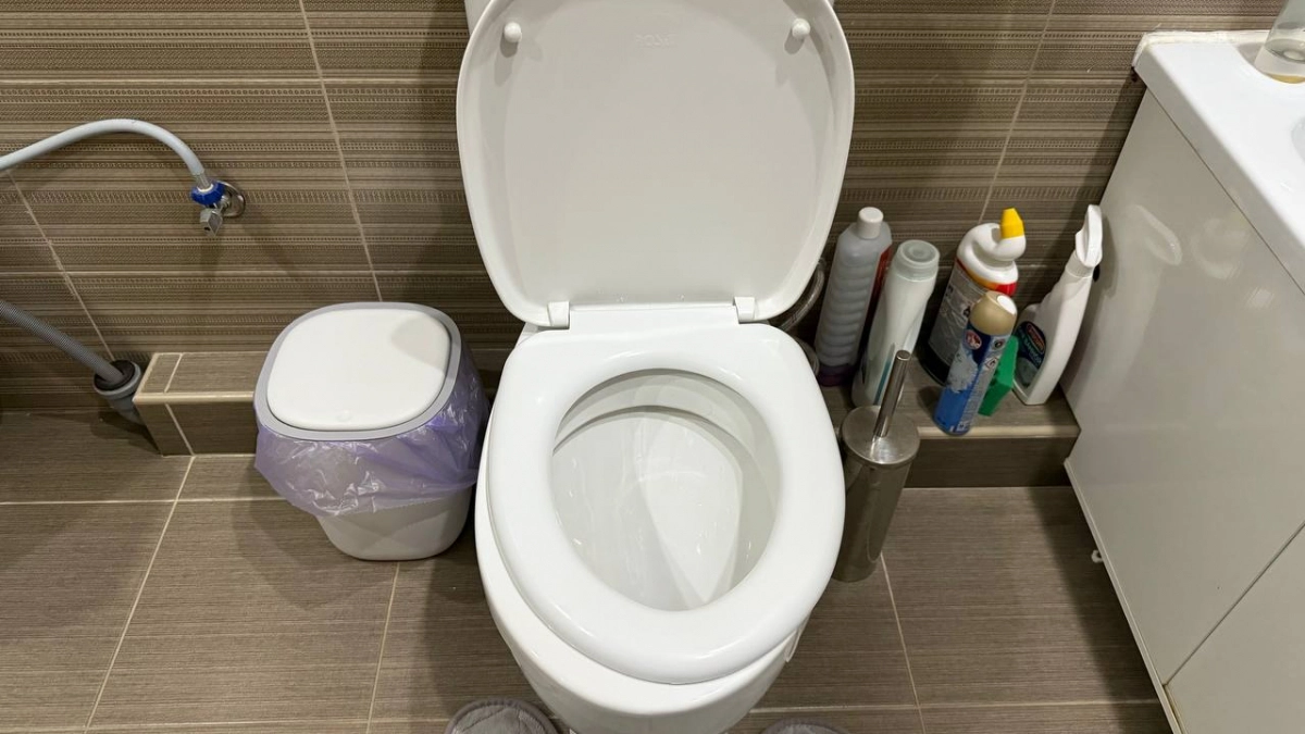 Обычные унитазы уходят в прошлое: что придет им на смену и когда ждать в России