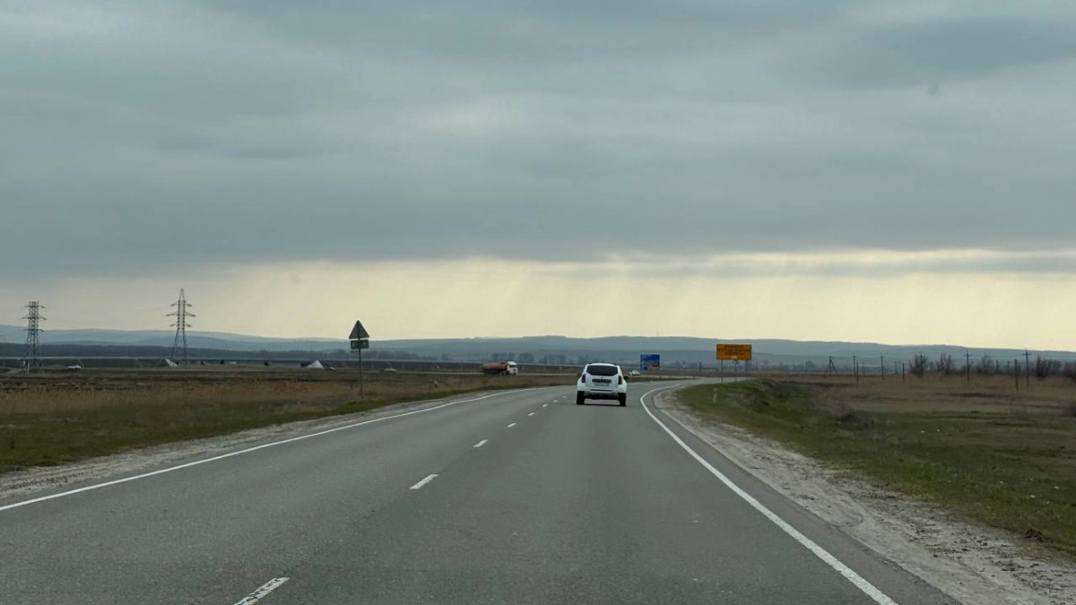 С 20 марта ГИБДД начнет аннулировать права прямо на дороге: проверьте себя сейчас