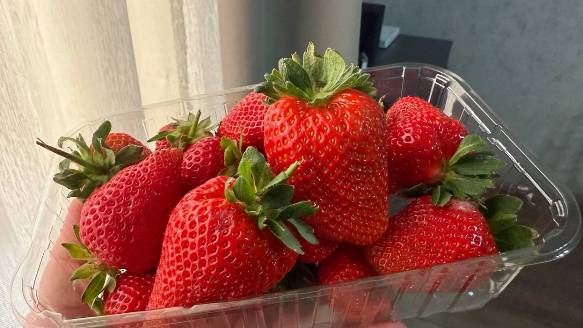 Сорняки исчезли, ягоды слаще меда: делюсь секретом клубничных грядок за копейки