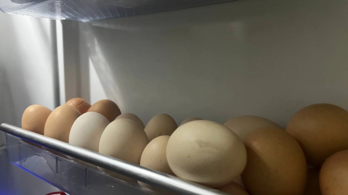 Магазины молчат об этом, но яйца С0 пора вычеркнуть из списка покупок: беру только такие