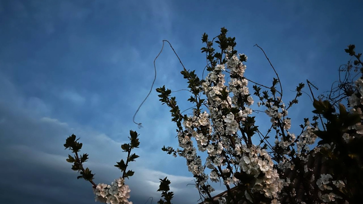 Шапки не убирайте: Гидрометцентр огорошил новым прогнозом на март — весна берет паузу