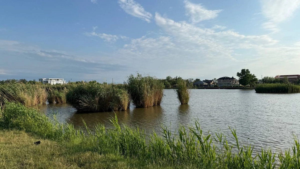 Майские выходные 2026: синоптики рассказали, какая погода ждёт дачников