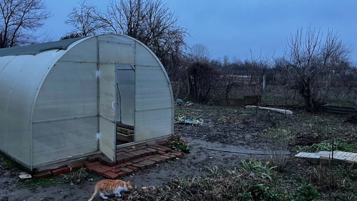 «Поставил и забыл»: пленка и поликарбонат сдают позиции — новое покрытие для теплиц не рвется и не мутнеет годами