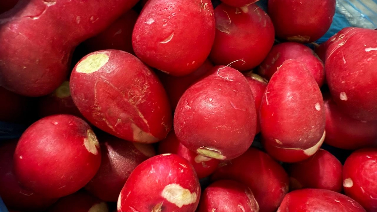 Редис горчит так, что не съесть? Бросаю в банку на полчаса — и он слаще мёда