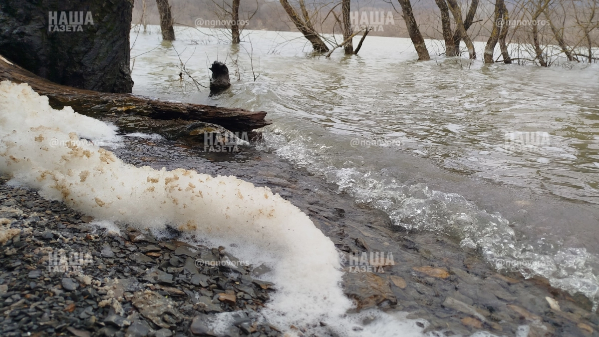На берегах Неберджаевского водохранилища под Новороссийском появилась белая пена: мнение эколога 