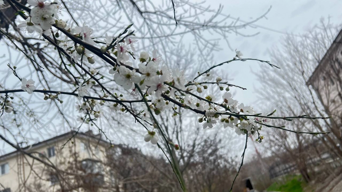«Поступили новые данные, и от них не по себе». Синоптики изменили прогноз на апрель