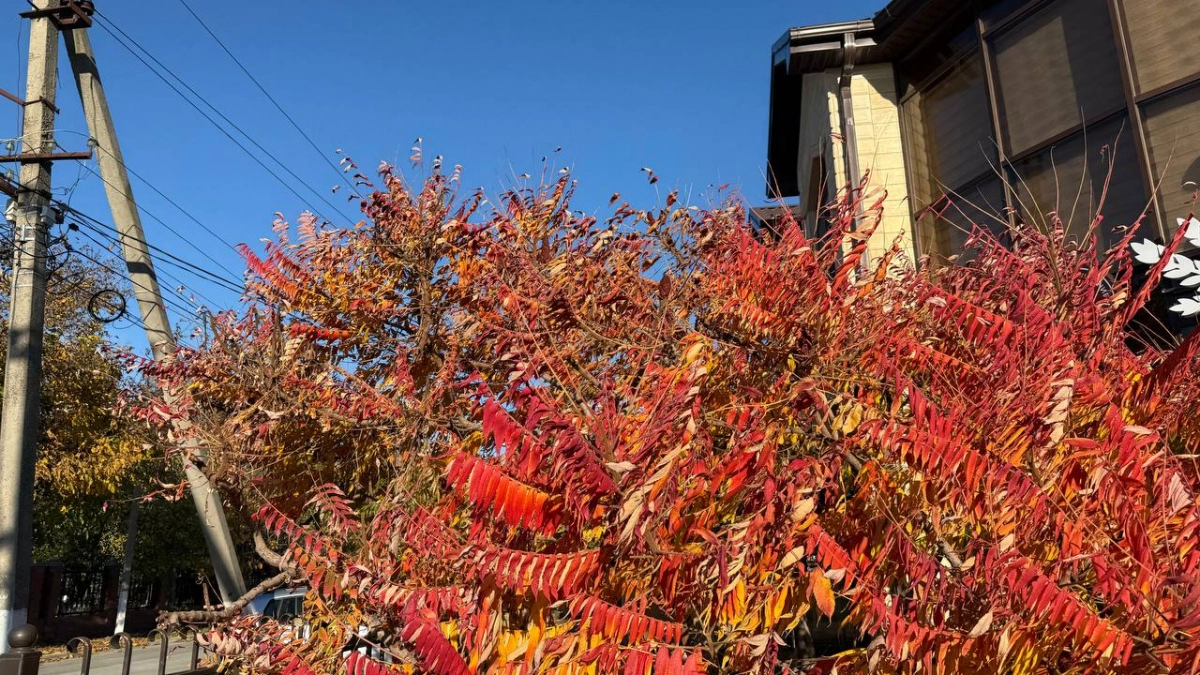 Синоптики обновили прогноз на апрель: лето начнется в этом месяце, но есть один нюанс