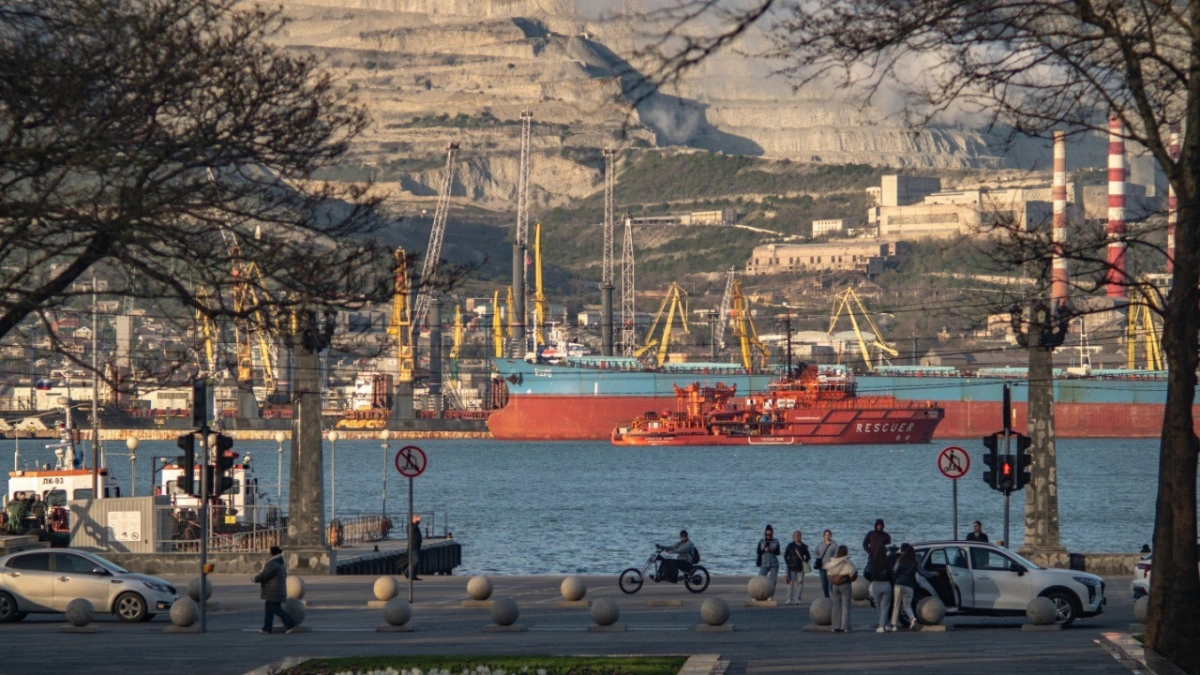 В порту Новороссийска тоже пробки: контейнеровозы ожидают обработки больше 6 суток 