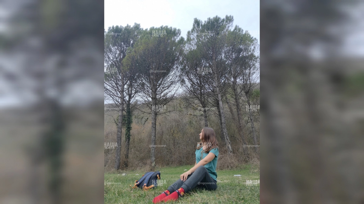 «Неизбитая» локация для отдыха: рукотворная роща итальянского кедра под Геленджиком – сохраняйте координаты  