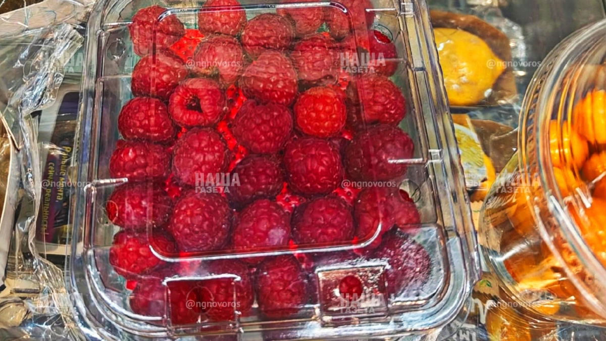 Ежевика – 4000 рублей за килограмм, малина – 3680: сколько стоят спелые ягоды в Новороссийске – обзор цен на рынке и в супермаркете