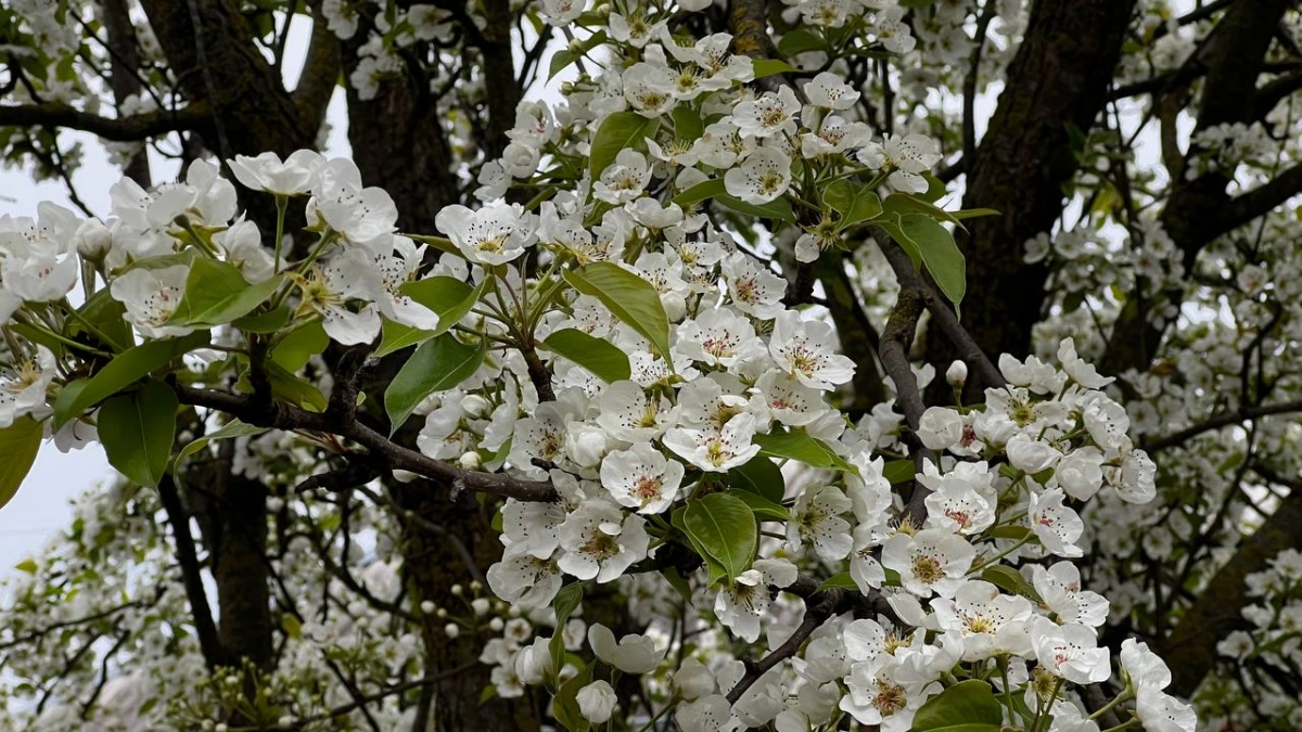 «Поступили новые данные, и от них не по себе». Синоптики кардинально изменили прогноз на апрель