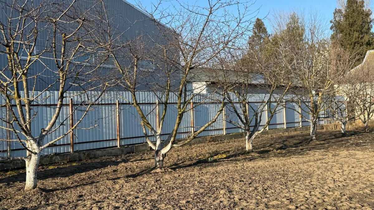 Дачникам готовят сюрприз: за картошку на участке теперь могут выписать штраф — разбираемся, кому грозит