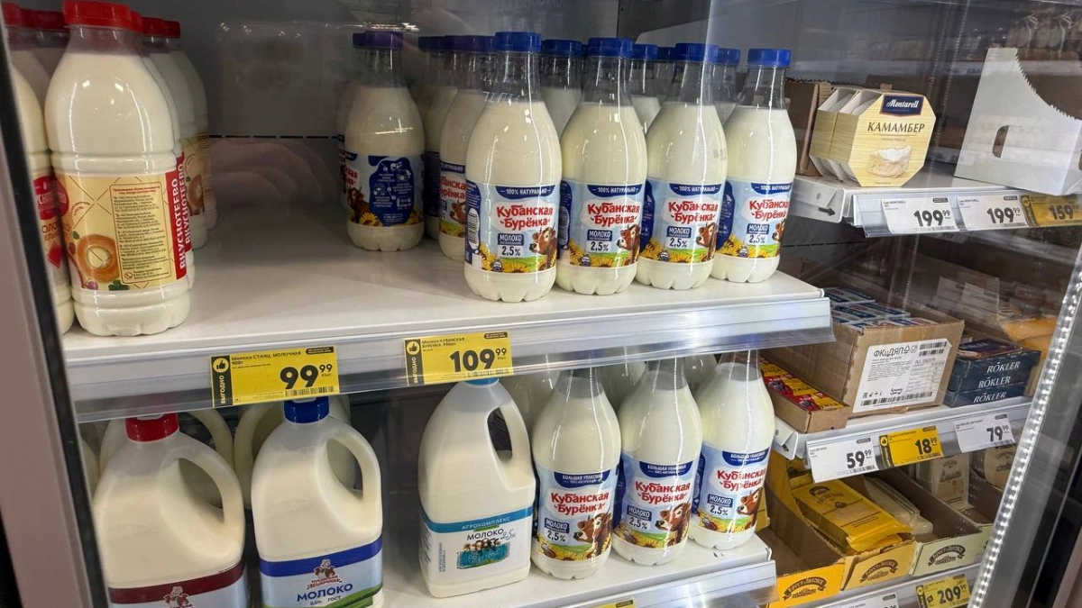 Не спешите выбрасывать: бутылки из-под молока творят чудеса на даче — показываю как