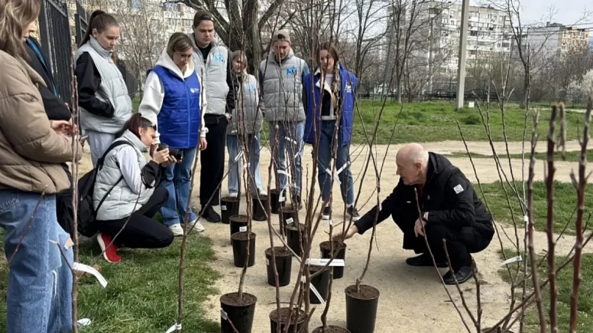 Высадили 40 яблонь: в Новороссийске прошла экологическая акция