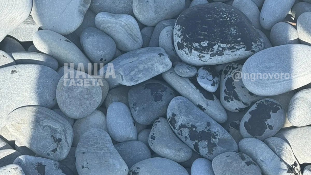 Плохие новости для туристов: пляжи Новороссийска перепачканы мазутом – на берегу много черных камней и мертвых птиц