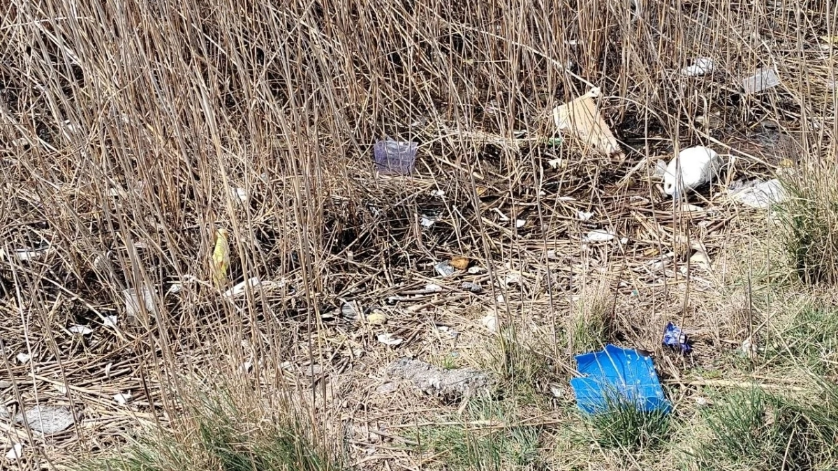 Суджукская лагуна Новороссийска превращается в мусорную свалку