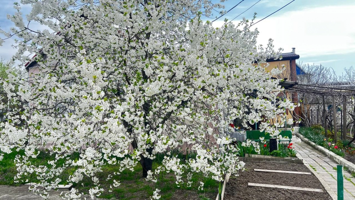 «Поступили новые данные, и от них не по себе». Синоптики дали новый прогноз на апрель
