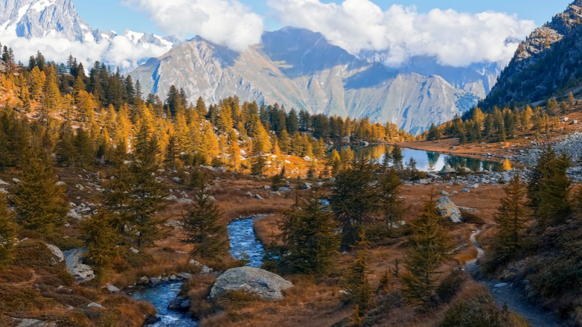 «Злые люди, змеи, грязь и невкусная еда»: туристы делятся своим впечатлением от отдыха в Абхазии – реальный отзыв