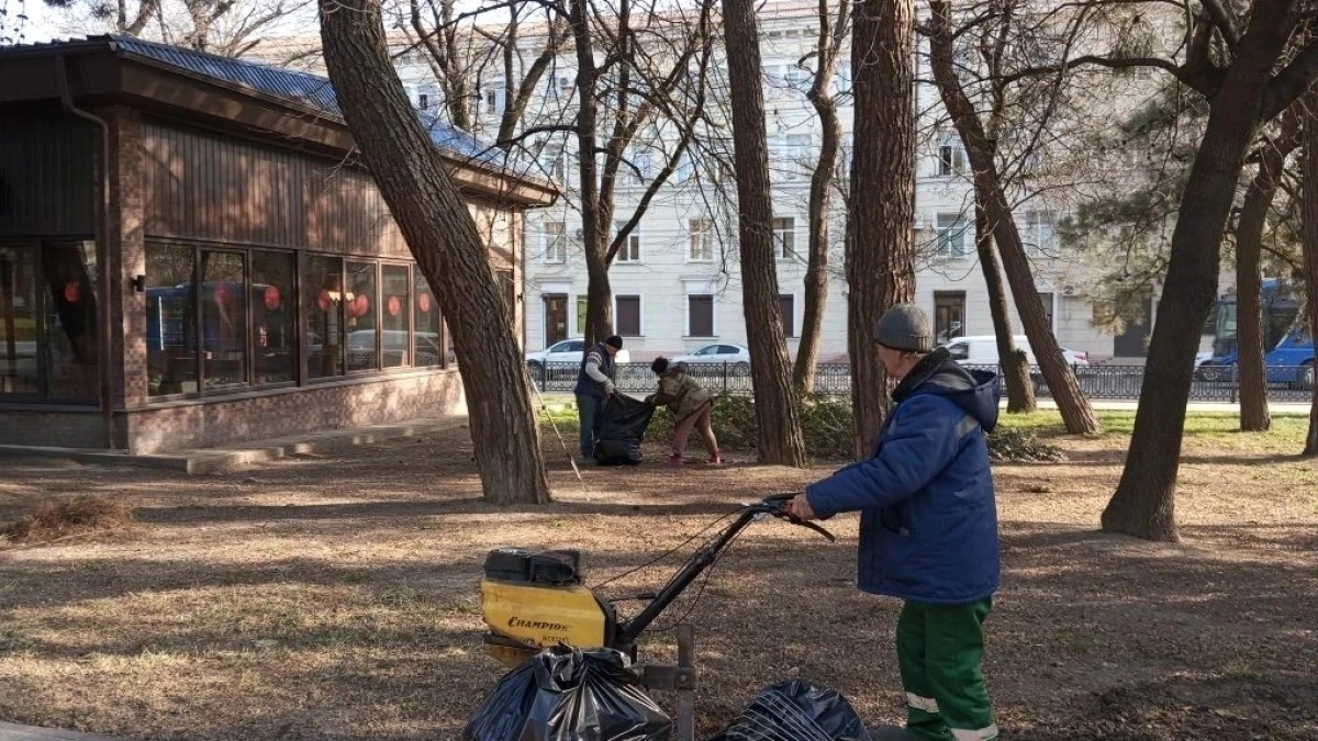 В Новороссийске ремонтируют газон в парковой аллее