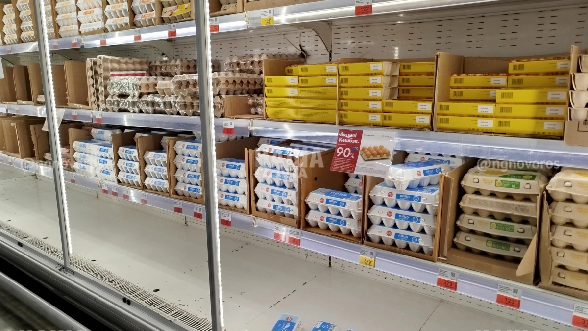 Готовимся к Пасхе: НАША узнала, где приобрести самые недорогие яйца – подробный обзор цен 