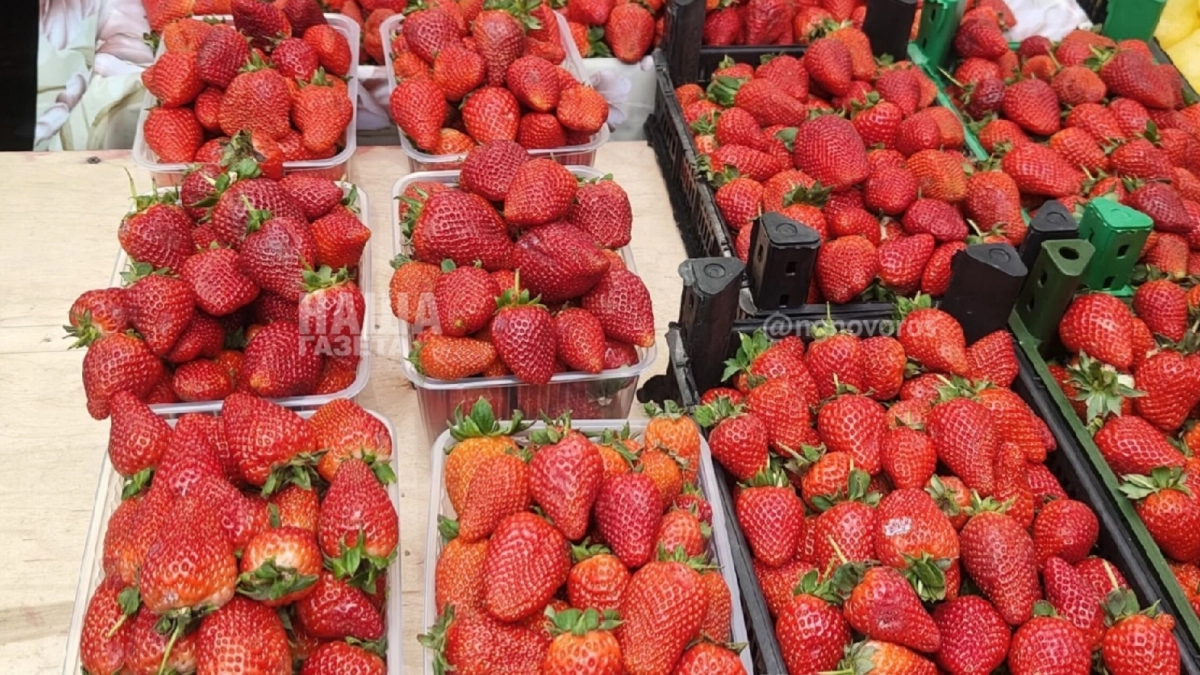 Налетайте! На рынках Новороссийска рухнули цены на клубнику