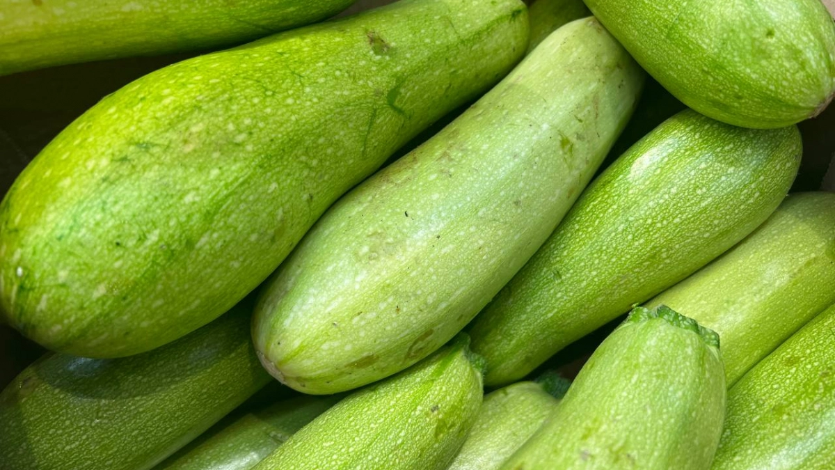 Срываю первые кабачки в мае, пока соседи только сеют: 4 рабочих шага