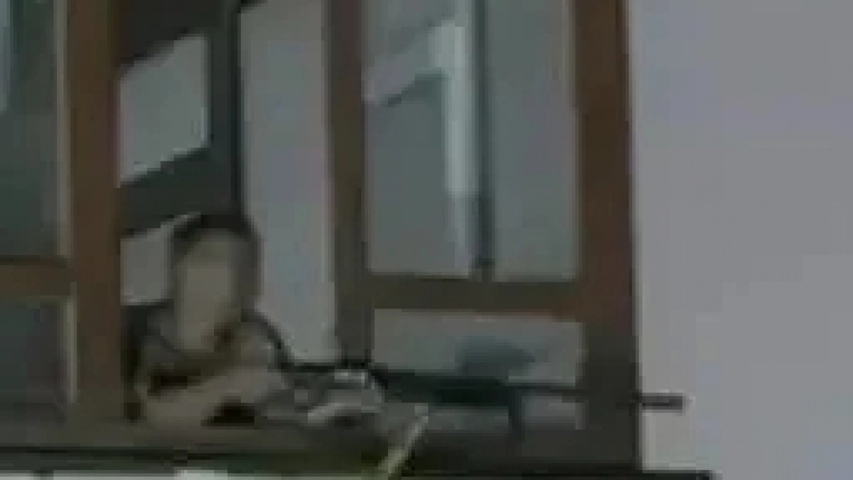 В Южном районе Новороссийска мужчина пытался сбить вражеский дрон из ружья 